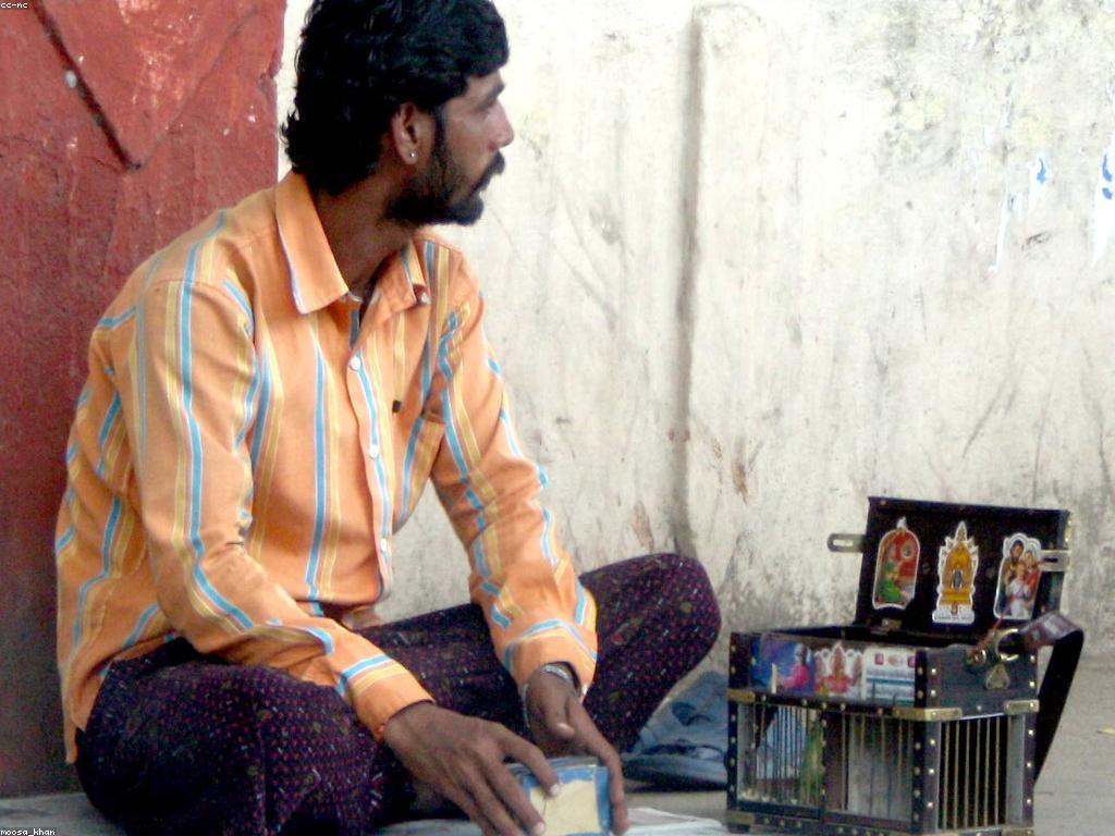 ការទស្សន៍ទាយ: អំពី សមត្ថភាពនៃការទស្សន៍ទាយ