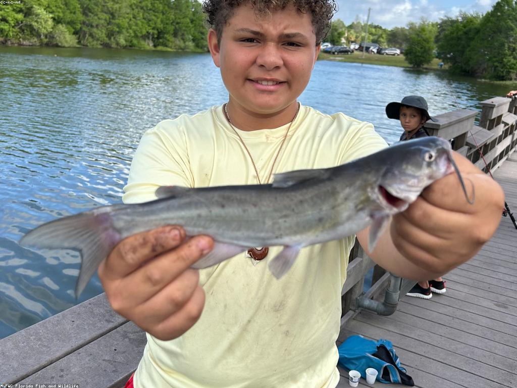 អត្ថប្រយោជន៍នៃការសិក្សា