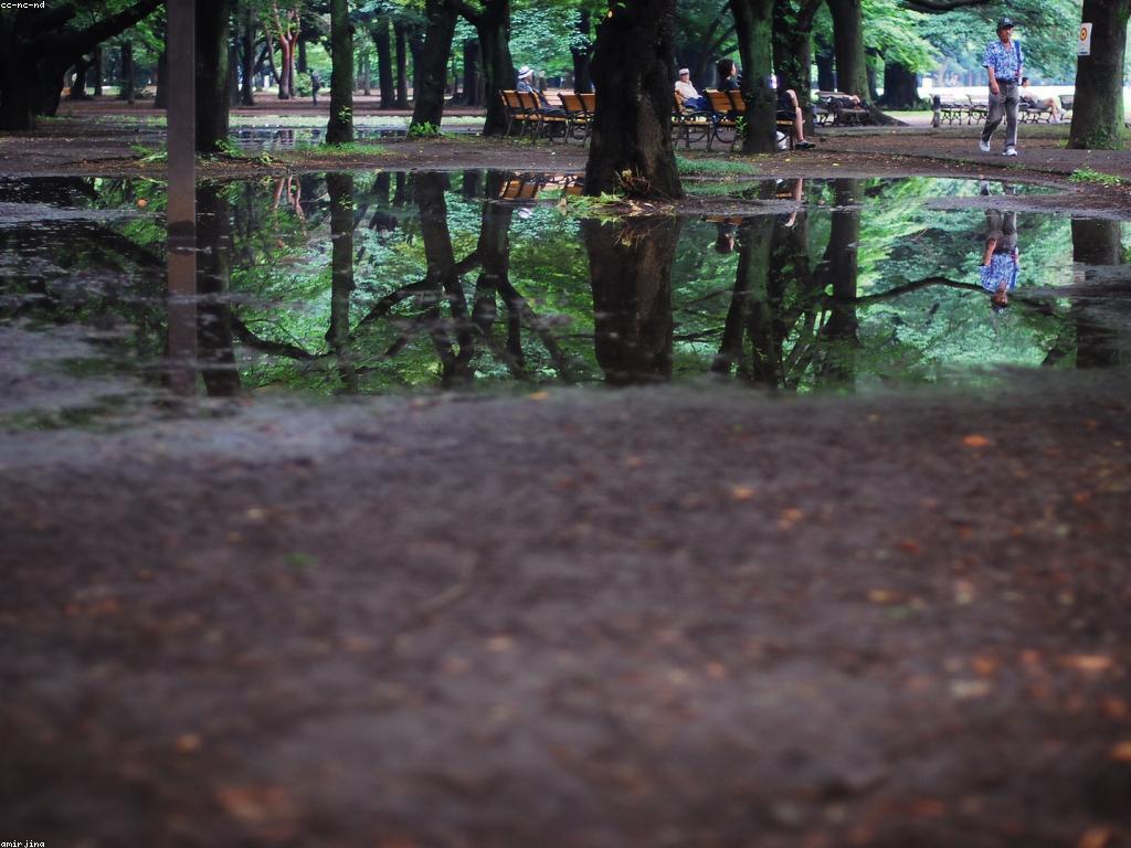 ការបកស្រាយប្រវត្តិសាស្ត្រនៃការទស្សន៍ទាយ